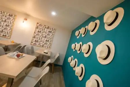 Hôtel du Midi - 23