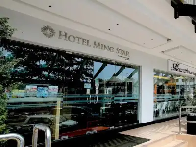 Ming Star - 36