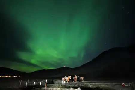 Efri-Vík Bungalows - 17