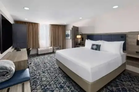 Wyndham DFW Airport - 82