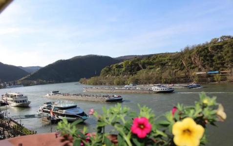 RheinLilie - 36