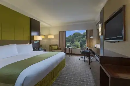 Holiday Inn Singapore Orchard City Centre by IHG - 49