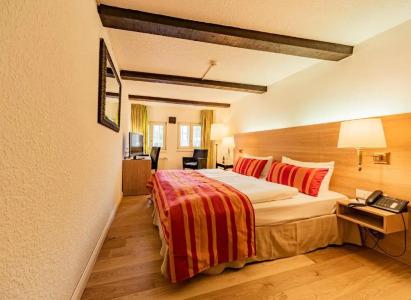 Romantik Walhalla - 59