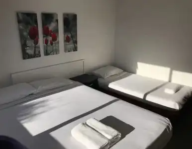 Siesta Motel - 42