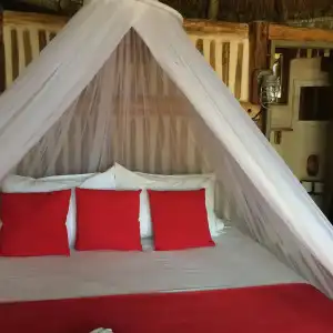 Calaluna Tulum - Adults Oriented - 2