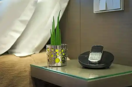 Hôtel Minerve Paris - 46