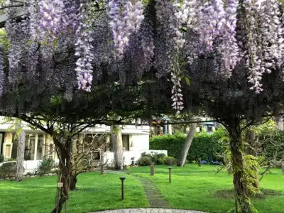 Bracciotti - 6