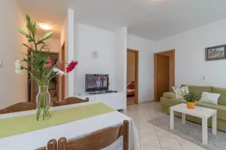 Apartments Vojin - 121