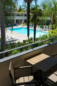 Lemon Tree Inn - 35