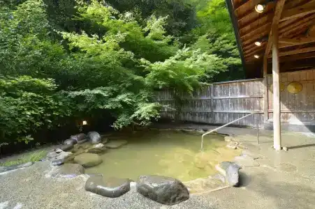 Yumoto Ueyama Ryokan - 47
