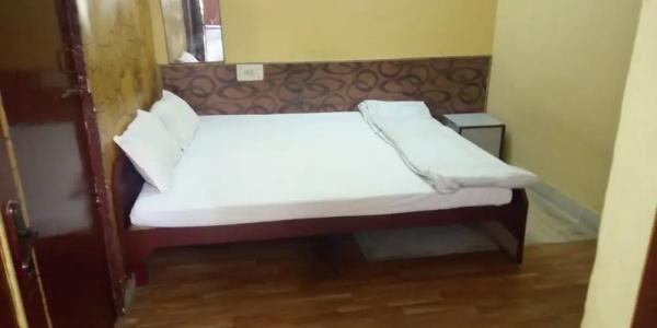 Raj Bed & Breakfast - 64