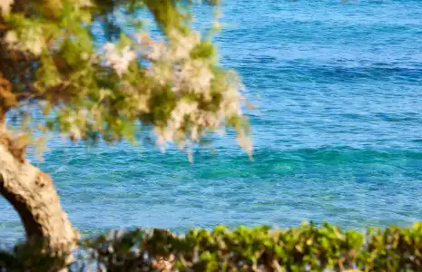 Alexander Beach & Village Resort - 134
