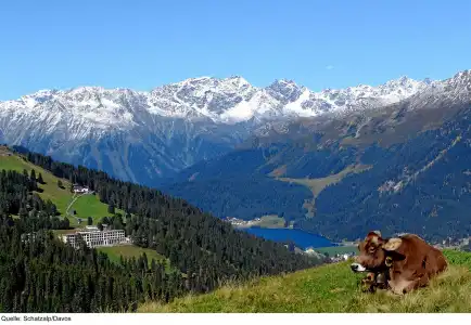 Schatzalp Snow & Mountain Resort - 7