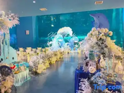 Dali Manju Ocean - 6