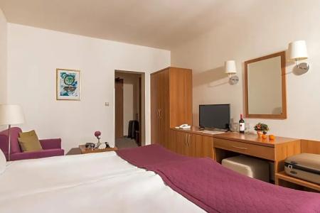 Four Points by Sheraton Bansko - 69