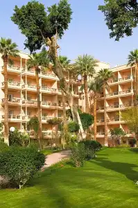 Pavillon Winter Luxor - 56