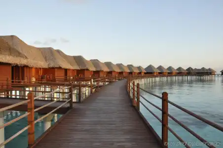 Sun Siyam Vilu Reef - All Inclusive - 26
