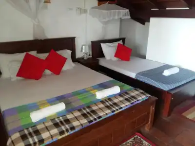 Comfort Inn- Galle Fort - 66