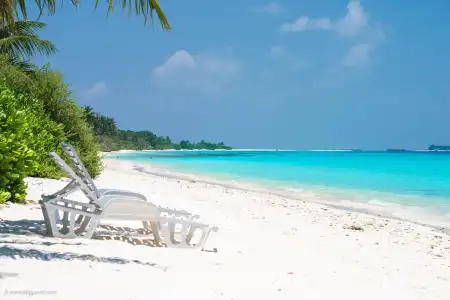 Dhiguveli Maldives - 31