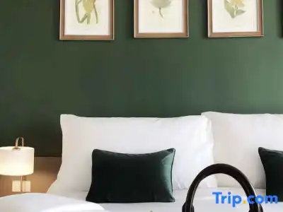 The Raintree Chiangmai - 417