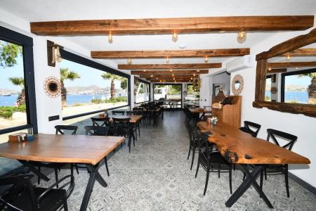 Blue Point - 18