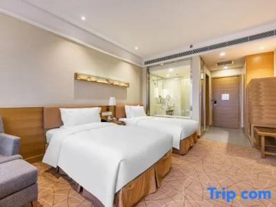 Holiday Inn Xi'an Big Goose Pagoda by IHG - 101