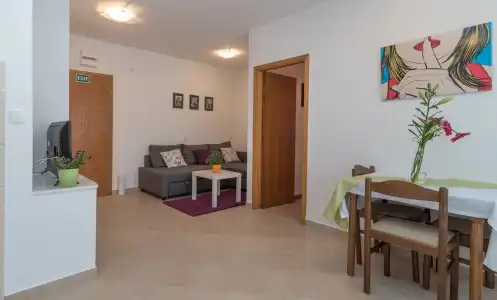 Apartments Vojin - 38