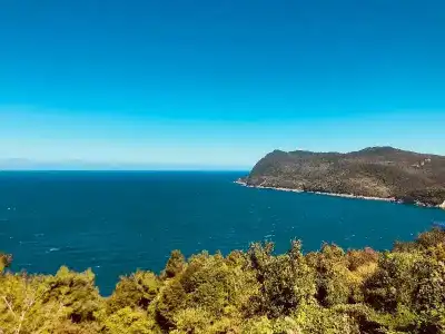 Amasra Ceylin - 60