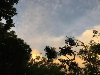 Open Sky - 45