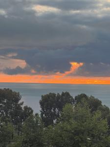Temel Park Otel - 8