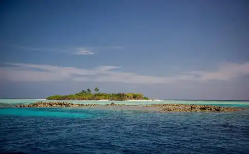 Detour Beach View - 17