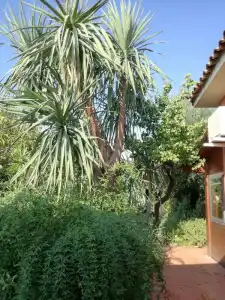 B&B Villa Lidia - 24