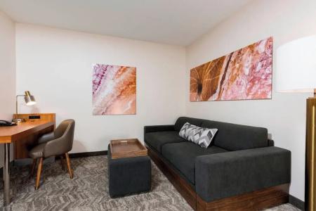SpringHill Suites by Marriott Grand Rapids North - 36