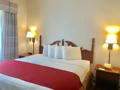 Spark by Hilton Orlando Universal Blvd - 53