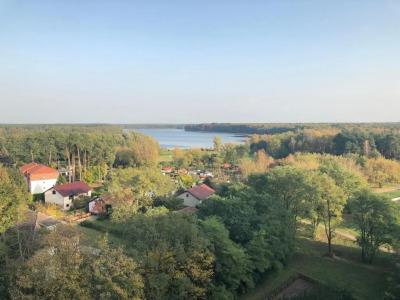 Ahorn SeeTemplin - 40