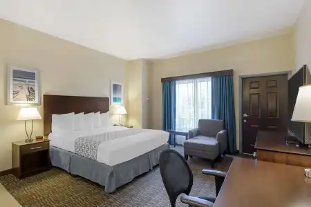 Best Western Naples Plaza - 25