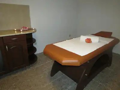 Spa & Apartment Mountain Romance - 48