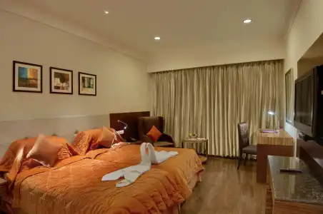 The Golden Palms & Spa Delhi - 2