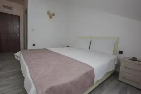 Dapčević - 31