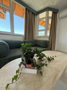 Casa Cleo Suites - 39