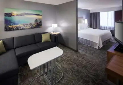 SpringHill Suites by Marriott Boise ParkCenter - 5