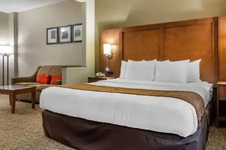 Comfort Suites Raleigh Walnut Creek - 34
