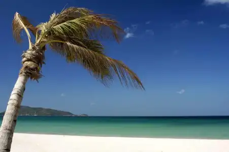 Horizon Patong Beach Resort & Spa - 22