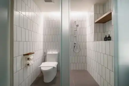 Triple Y - 52