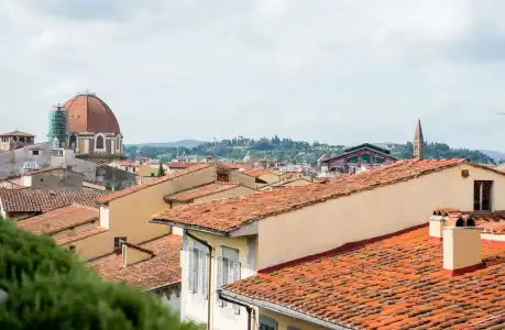 Orto De Medici - 65
