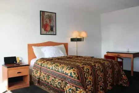 Amazon Motel - 12