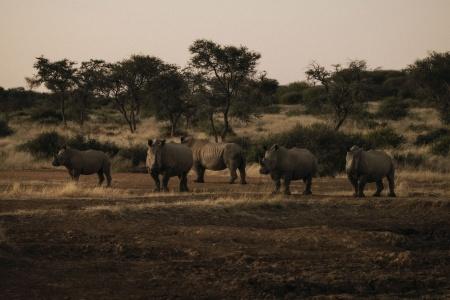 Our Habitas Namibia - 20