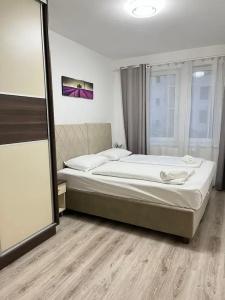 Corvin Rose Apartment - 58