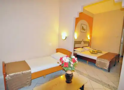 Hôtel Les Palmes d'Or - 47