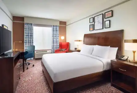 Hilton Garden Inn El Paso Airport - 49